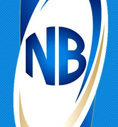 Firm seeks support for NB’s golden pen award