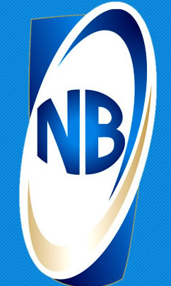 Firm seeks support for NB’s golden pen award