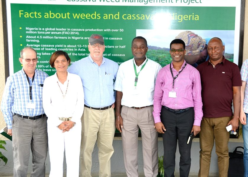 ‘Integrated weed control critical to cassava revolution’