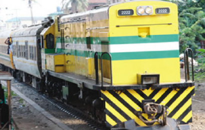 Rail conveys 2,330 cattle to Lagos in two months