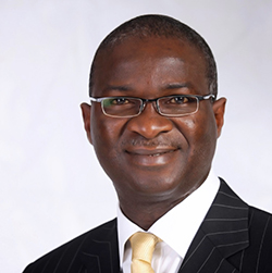 Fashola implores power sector stakeholders on adequate gas supply