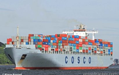 COSCO posts $695m loss in 2016, records 22.6 % drop in shipping, others