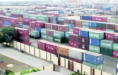 NPA Receives 21 Ships With Petroleum Products, Frozen Fish, Wheat, Others