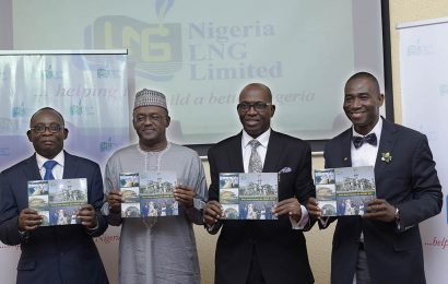 How to spur industrial, economic transformation in Nigeria through gas, by Attah, NLNG MD
