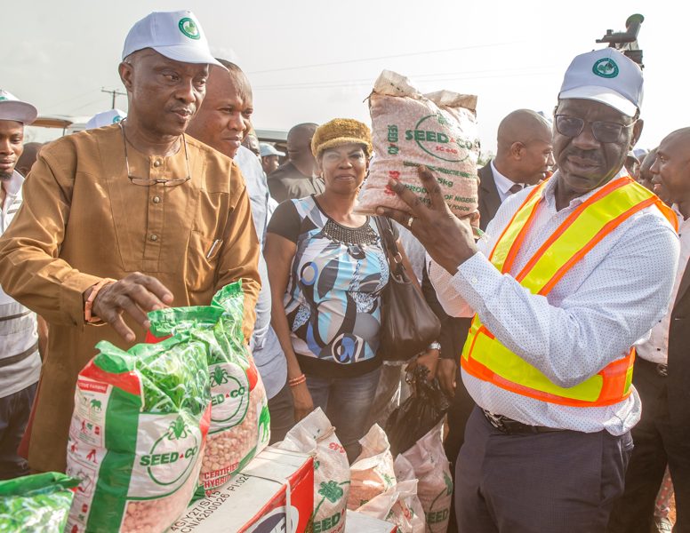 Obaseki inaugurates 1000ha maize field in Edo