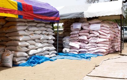 IITA: 35,930Kilograms of seeds offer to Borno among best planting materials, lifeline for North East