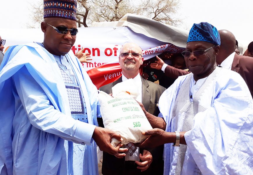 IITA donates 35,930 kilograms ‘Seeds of Renaissance’ to Borno