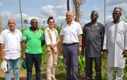 Heritage Bank supports Triton Group reforestation project in Oyo