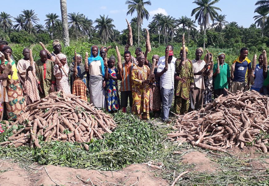 IITA-CWMP signs agreements with 136 farmers