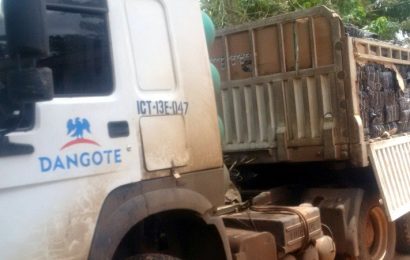 Customs impounds Dangote truck with N47m smuggled poultry products