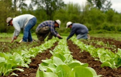 5,400 farmers, agro-dealers benefit from $3m USAID agric scheme