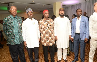 IMO: Onyema,Amaechi Woo Foreign Diplomats For Nigeria’s Election