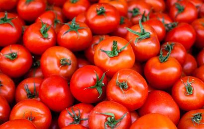 Tomatoes’ Price Soar In Enugu Markets