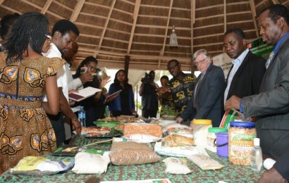 300 Cassava Researchers, Policy Makers For Cotonou Parley