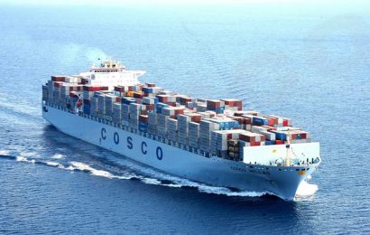 COSCO Shipping Records 33 Per Cent Drop In QI Profit