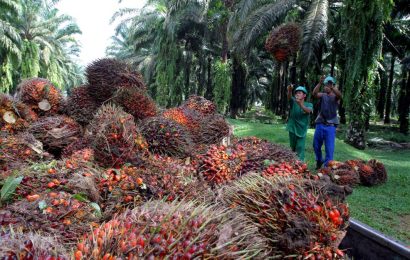Okomu Oil Palm Explains Expansion Agenda, Support For Gelegele Seaport