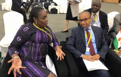 Nigeria Signs Climate Risk Financing MoU With ARC