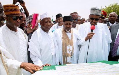 Buhari: Nigeria’s Agricultural Revolution On Course