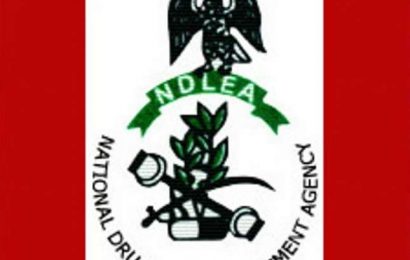 NDLEA Impounds 63 Bags Of Cannabis, 12,000 Tramadol, Others