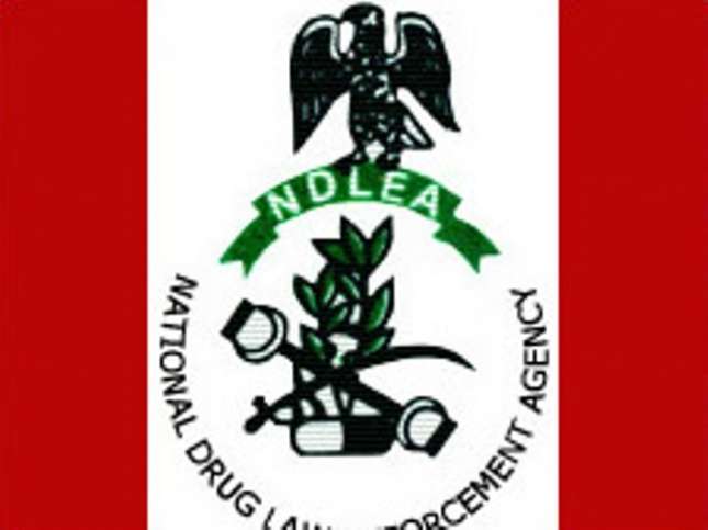 NDLEA Arrests Europe-Bound Student With Drugs