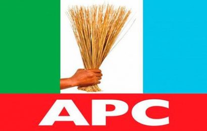 APC: We Have No Budget For Thugs