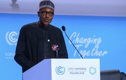 Buhari: No Country Can Confront Climate Change Alone