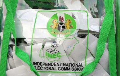 REC: Nine Political Parties Conclude Primaries In Edo