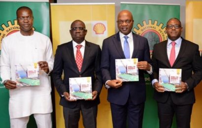 Shell Nigeria Targets 2,400MW Electricity From Gas Project In Imo