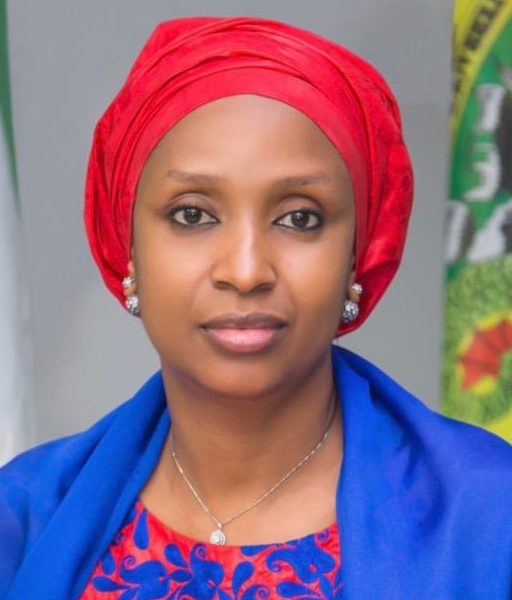 NPA Boss seeks Review of Established Structure To Curb Women Molestation