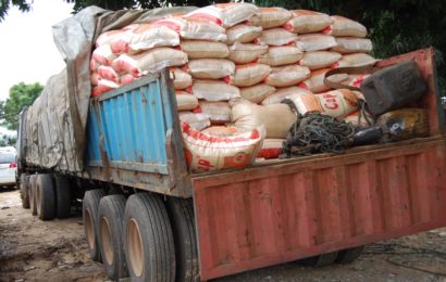 Customs Intercepts Another Dangote Truck With Bags Of Smuggled Rice