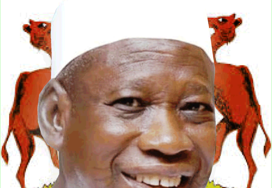 Kano 40th Trade Fair To Host 150 Countries