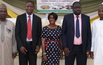 At APPEALS Project Support Mission In Lagos, Food Security Tops Agenda