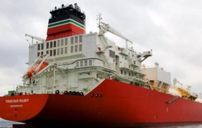 Firm Takes Delivery Of 1st LNG Carrier