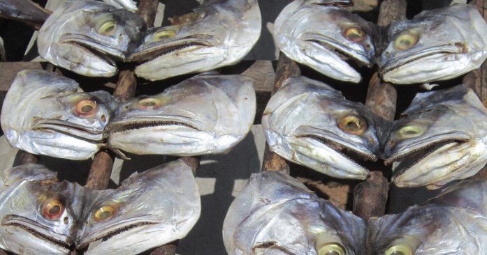 Nigeria To Stop Fish Importation
