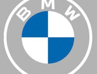 BMW Rejigs Logo