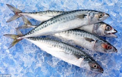Dealers Explain Scarcity Of Titus Fish