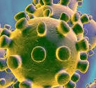 Germany Records 2,034 New Coronavirus Cases
