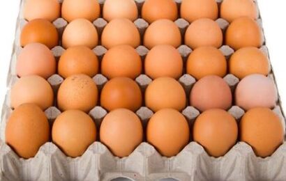 Farmer Laments Egg Glut, Seeks Improved Value-Chain