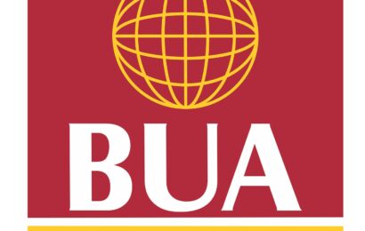 BUA To Set Up 3m Metric Tonnes Cement Plant In Adamawa