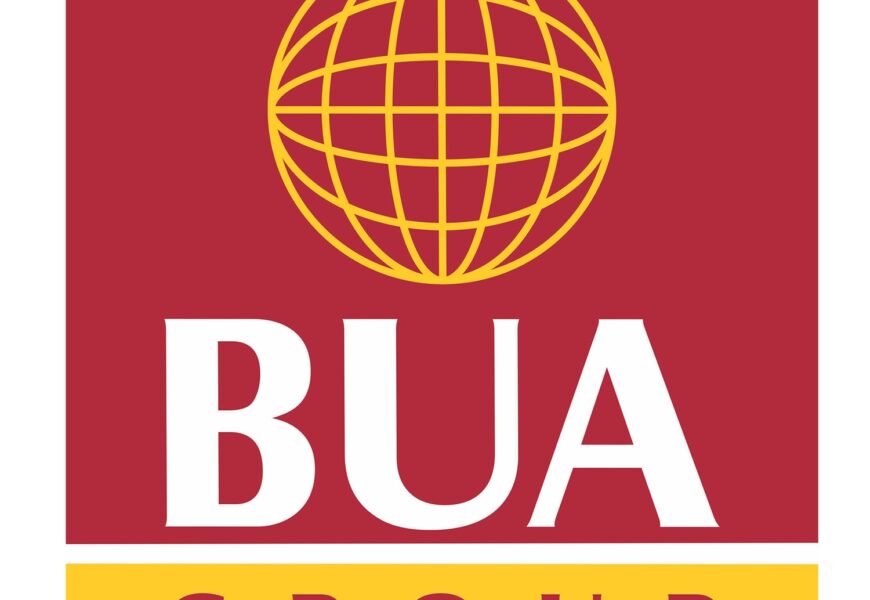 BUA To Set Up 3m Metric Tonnes Cement Plant In Adamawa