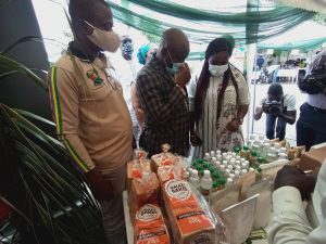 Lagos To Establish Coconut Processing Factory In Badagry