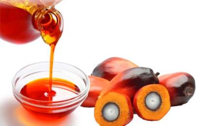 Nigerian Oil Palm Growers Condemn Illegal Importation