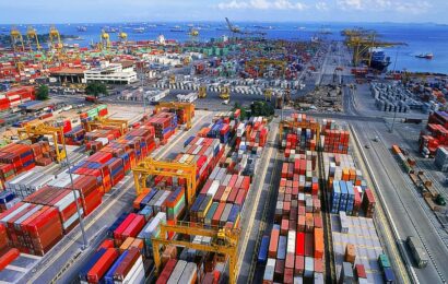 Nigeria Decries Low Trade Level With Egypt