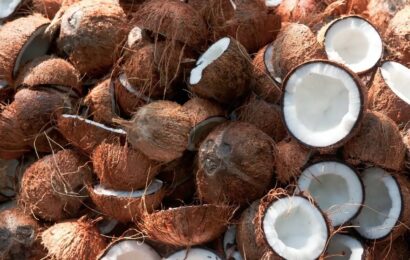 Lagos Targets One Million Coconut Seedlings In 2022