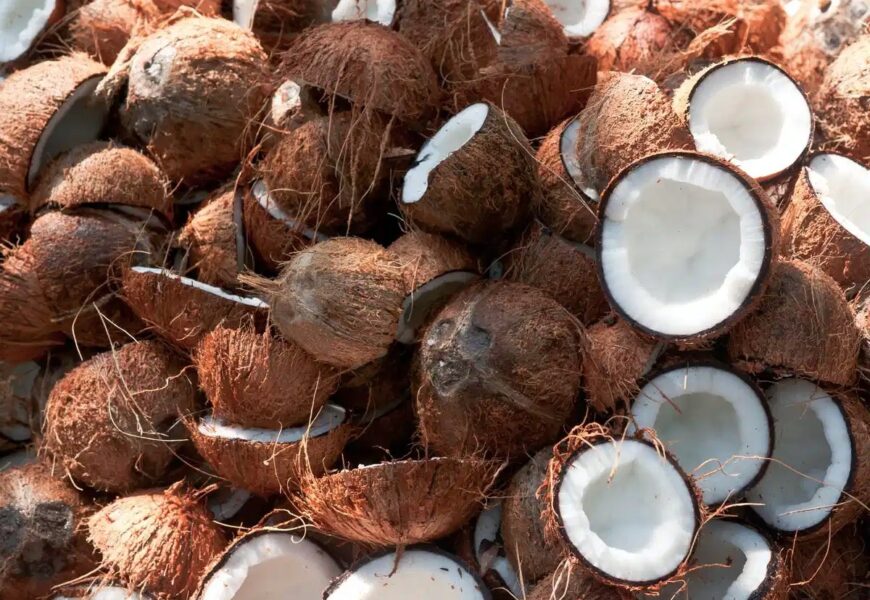 Lagos Targets 10m Coconut Trees By 2024