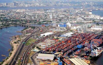 NPA Receives 19 Ships Laden With Frozen Fish, Wheat, Others At Lagos Ports