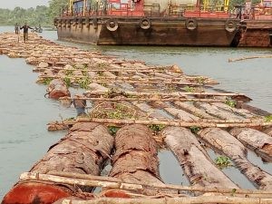 Edo Confiscates 2,375 Logs