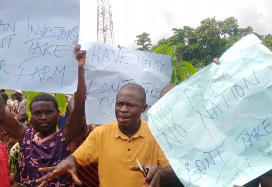Cocoa Farmers In Ondo Protest Alleged Sale Of Farmland To Chinese Company