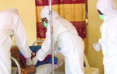 Lassa Fever Deaths Rise To 109 In One Month
