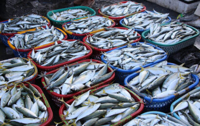 Fishermen Lament Cash Crunch, Fuel Scarcity